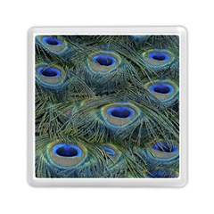 Peacock Feathers Details Memory Card Reader (Square)