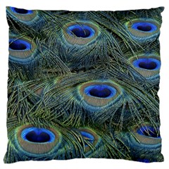 Peacock Feathers Details Large Cushion Case (One Side)