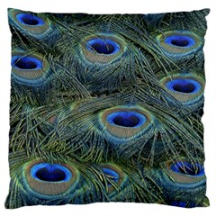 Peacock Feathers Details Standard Premium Plush Fleece Cushion Case (One Side)