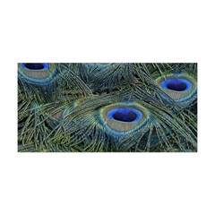 Peacock Feathers Details Yoga Headband