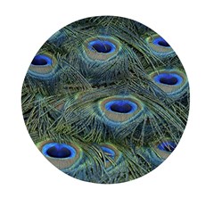 Peacock Feathers Details Mini Round Pill Box