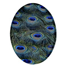 Peacock Feathers Details Oval Glass Fridge Magnet (4 pack)