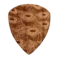 Peacock Feathers Details Wood Guitar Pick (Set of 10)