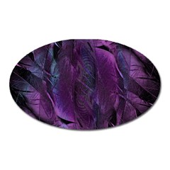 Feather Pattern Texture Form Oval Magnet