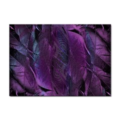 Feather Pattern Texture Form Sticker A4 (10 Pack) by Grandong