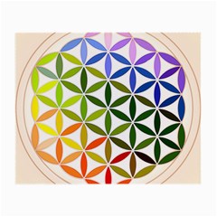 Mandala Rainbow Colorful Small Glasses Cloth