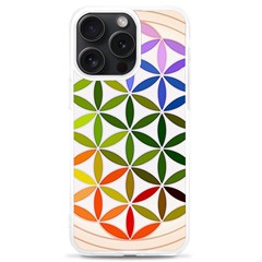 Mandala Rainbow Colorful iPhone 15 Pro Max TPU UV Print Case