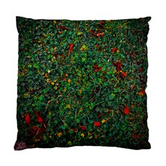 Grass Nature Meadow Standard Cushion Case (two Sides) by Loisa77