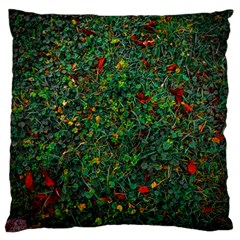 Grass Nature Meadow Standard Premium Plush Fleece Cushion Case (two Sides) by Loisa77