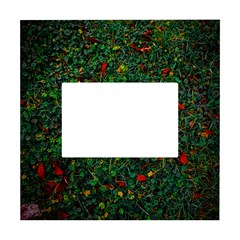 Grass Nature Meadow White Box Photo Frame 4  X 6  by Loisa77