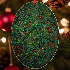 Grass Nature Meadow Uv Print Acrylic Ornament Oval by Loisa77