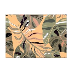 Leaves Monstera Picture Print Pattern Sticker A4 (10 Pack)