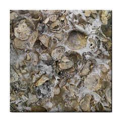 Fossilized Seashell Texture Print Design Bk Tile Coaster by dflcprintsclothing