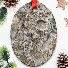 Fossilized Seashell Texture Print Design Bk Ornament (oval) by dflcprintsclothing