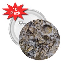 Fossilized Seashell Texture Print Design Bk 2 25  Buttons (10 Pack)  by dflcprintsclothing