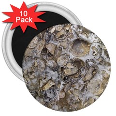 Fossilized Seashell Texture Print Design Bk 3  Magnets (10 Pack)  by dflcprintsclothing