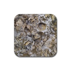 Fossilized Seashell Texture Print Design Bk Rubber Coaster (square) by dflcprintsclothing