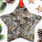 Fossilized Seashell Texture Print Design Bk Star Ornament (Two Sides) Front