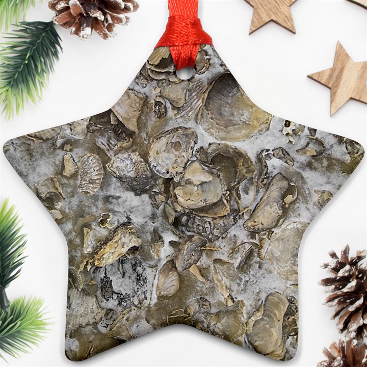 Fossilized Seashell Texture Print Design Bk Star Ornament (Two Sides)