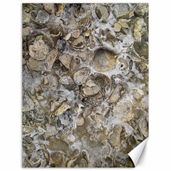 Fossilized Seashell Texture Print Design Bk Canvas 18  X 24  by dflcprintsclothing