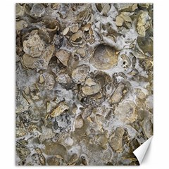 Fossilized Seashell Texture Print Design Bk Canvas 20  X 24  by dflcprintsclothing