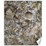 Fossilized Seashell Texture Print Design Bk Canvas 20  x 24  19.57 x23.15  Canvas - 1