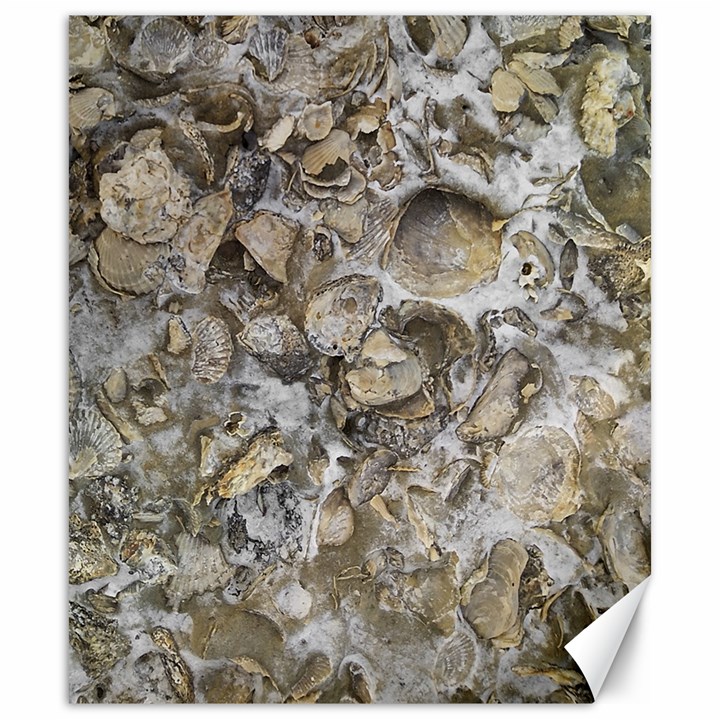 Fossilized Seashell Texture Print Design Bk Canvas 20  x 24 