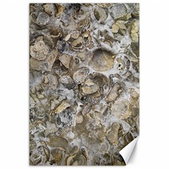 Fossilized Seashell Texture Print Design Bk Canvas 20  X 30  by dflcprintsclothing