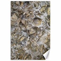 Fossilized Seashell Texture Print Design Bk Canvas 24  X 36  by dflcprintsclothing