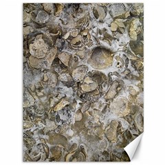 Fossilized Seashell Texture Print Design Bk Canvas 36  X 48  by dflcprintsclothing