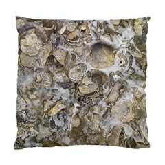 Fossilized Seashell Texture Print Design Bk Standard Cushion Case (one Side) by dflcprintsclothing