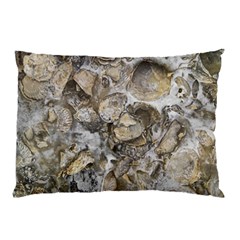 Fossilized Seashell Texture Print Design Bk Pillow Case by dflcprintsclothing