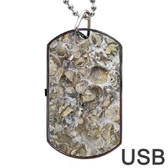 Fossilized Seashell Texture Print Design Bk Dog Tag Usb Flash (one Side) by dflcprintsclothing