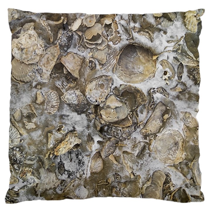 Fossilized Seashell Texture Print Design Bk Large Cushion Case (Two Sides)