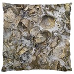 Fossilized Seashell Texture Print Design Bk Large Cushion Case (Two Sides) Back