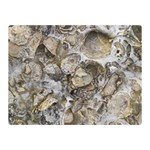 Fossilized Seashell Texture Print Design Bk Two Sides Premium Plush Fleece Blanket (Mini) 35 x27  Blanket Front