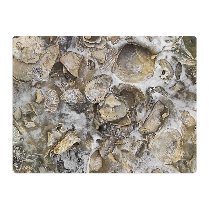 Fossilized Seashell Texture Print Design Bk Two Sides Premium Plush Fleece Blanket (Mini)