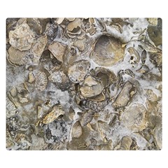 Fossilized Seashell Texture Print Design Bk Two Sides Premium Plush Fleece Blanket (kids Size) by dflcprintsclothing