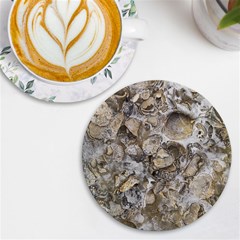 Fossilized Seashell Texture Print Design Bk Uv Print Round Tile Coaster by dflcprintsclothing