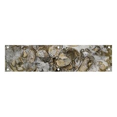 Fossilized Seashell Texture Print Design Bk Banner And Sign 4  X 1  by dflcprintsclothing