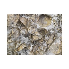 Fossilized Seashell Texture Print Design Bk Premium Plush Fleece Blanket (mini) by dflcprintsclothing