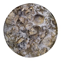 Fossilized Seashell Texture Print Design Bk Round Glass Fridge Magnet (4 Pack) by dflcprintsclothing