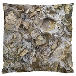 Fossilized Seashell Texture Print Design Bk 16  Baby Flannel Cushion Case (Two Sides) Front