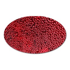 Drops Water Drop Trypophobia Oval Magnet by Loisa77