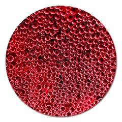 Drops Water Drop Trypophobia Magnet 5  (round)