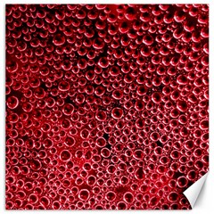 Drops Water Drop Trypophobia Canvas 12  X 12 