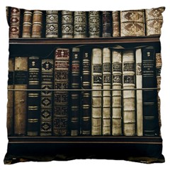 Antique Vintage Old Book Standard Premium Plush Fleece Cushion Case (one Side) by Perong