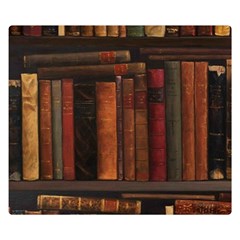 Old Books Vintage Office Antique Library Two Sides Premium Plush Fleece Blanket (kids Size) by Perong