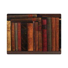 Old Books Vintage Office Antique Library Premium Plush Fleece Blanket (mini) by Perong