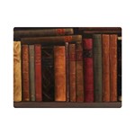 Old Books Vintage Office Antique Library Premium Plush Fleece Blanket (Mini) 35 x27  Blanket Front